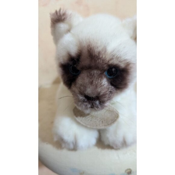 Russ Tamiko Classics Siamese Cat Plush Toy 10" Soft Stuffed Animal With Brown & - Picture 7 of 11